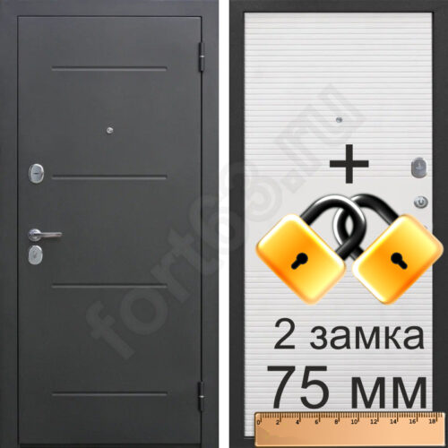 дверь входная николь